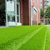 Цэцэрлэгийн чөлөөт цагийг цэцэрлэгт хүрээлэн